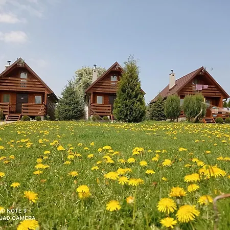 リゾート Osrodek Wczasowy 