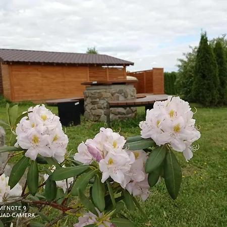 リゾート Osrodek Wczasowy 