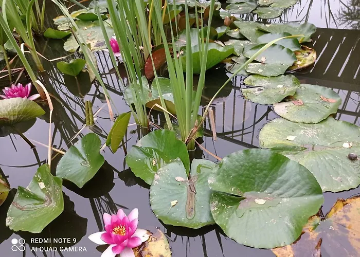 Station touristique Osrodek Wczasowy 